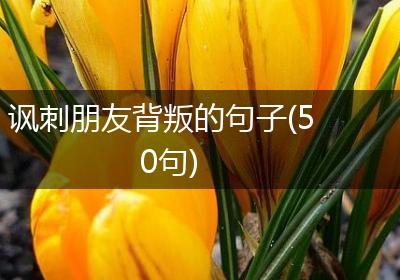 讽刺朋友背叛的句子(50句)
