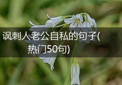 讽刺人老公自私的句子(热门50句)