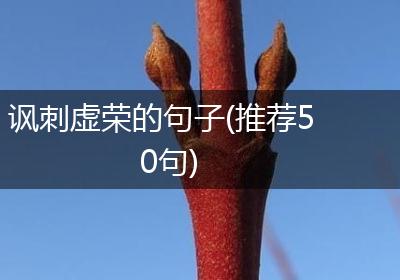讽刺虚荣的句子(推荐50句)