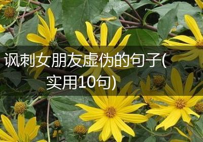 讽刺女朋友虚伪的句子(实用10句)