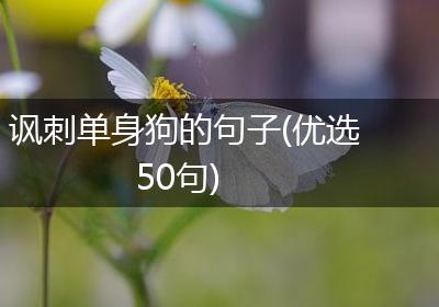 讽刺单身狗的句子(优选50句)