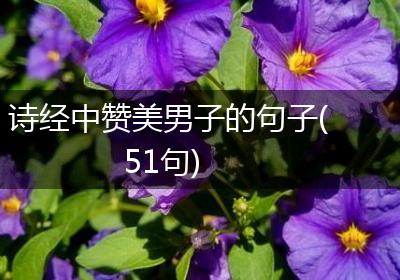 诗经中赞美男子的句子(51句)