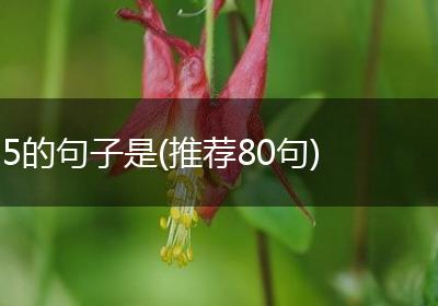 5的句子是(推荐80句)