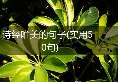 诗经唯美的句子(实用50句)