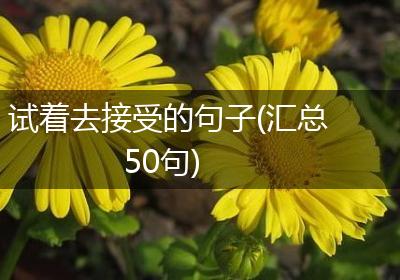 试着去接受的句子(汇总50句)