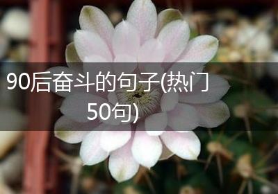90后奋斗的句子(热门50句)