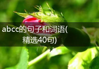 abcc的句子和词语(精选40句)