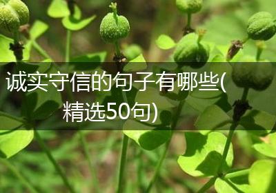 诚实守信的句子有哪些(精选50句)