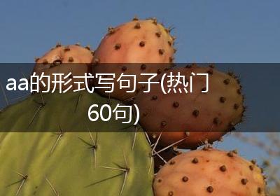 aa的形式写句子(热门60句)
