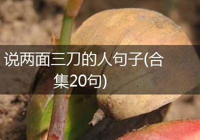说两面三刀的人句子(合集20句)