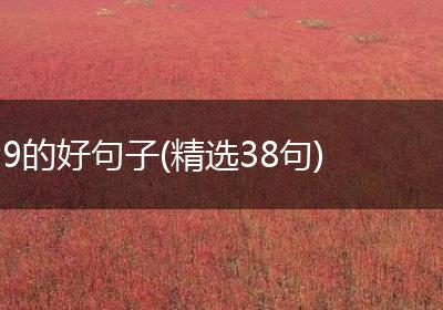 9的好句子(精选38句)