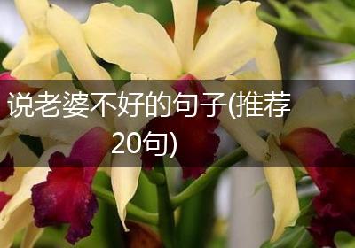 说老婆不好的句子(推荐20句)