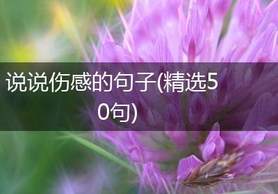 说说伤感的句子(精选50句)