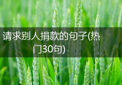 请求别人捐款的句子(热门30句)