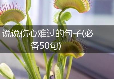 说说伤心难过的句子(必备50句)