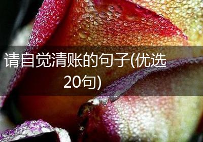 请自觉清账的句子(优选20句)