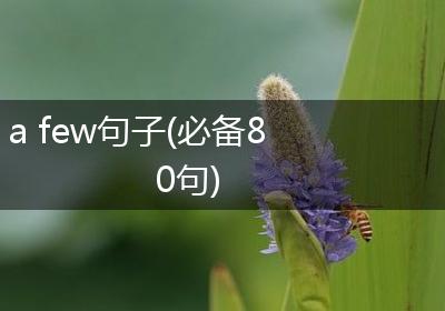 a few句子(必备80句)