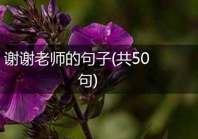 谢谢老师的句子(共50句)