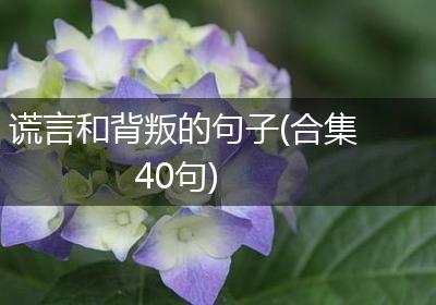 谎言和背叛的句子(合集40句)