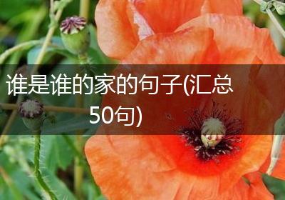谁是谁的家的句子(汇总50句)