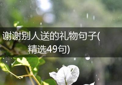 谢谢别人送的礼物句子(精选49句)