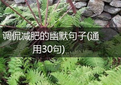 调侃减肥的幽默句子(通用30句)