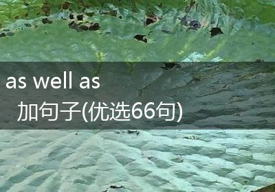 as well as 加句子(优选66句)