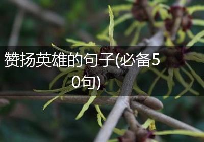 赞扬英雄的句子(必备50句)