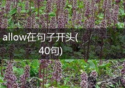 allow在句子开头(40句)