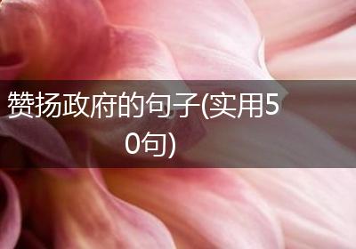 赞扬政府的句子(实用50句)