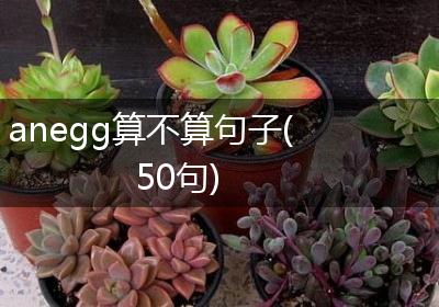 anegg算不算句子(50句)