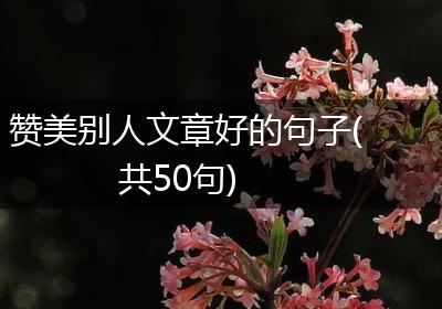赞美别人文章好的句子(共50句)