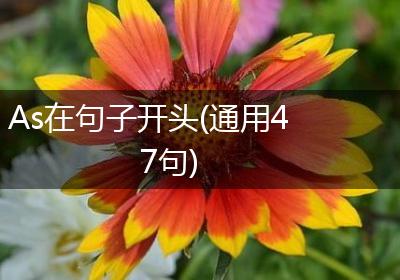 As在句子开头(通用47句)