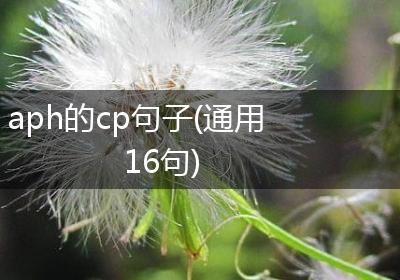 aph的cp句子(通用16句)
