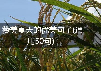赞美夏天的优美句子(通用50句)