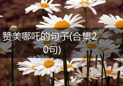赞美哪吒的句子(合集20句)