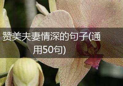 赞美夫妻情深的句子(通用50句)