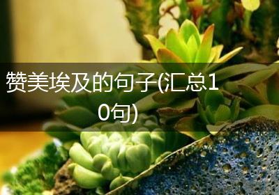 赞美埃及的句子(汇总10句)