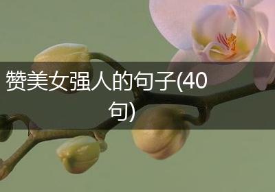 赞美女强人的句子(40句)