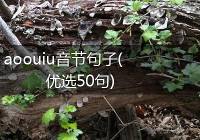 aoouiu音节句子(优选50句)