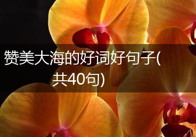赞美大海的好词好句子(共40句)