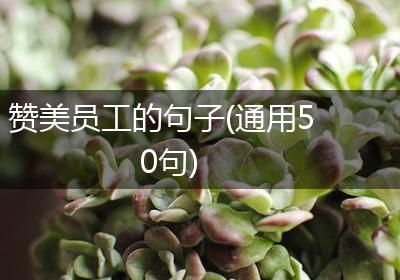 赞美员工的句子(通用50句)