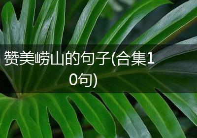 赞美崂山的句子(合集10句)