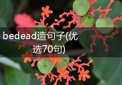 bedead造句子(优选70句)
