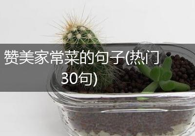 赞美家常菜的句子(热门30句)