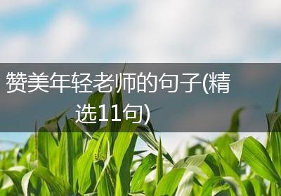 赞美年轻老师的句子(精选11句)