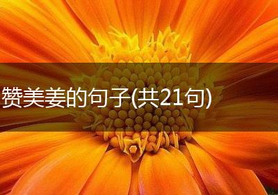 赞美姜的句子(共21句)
