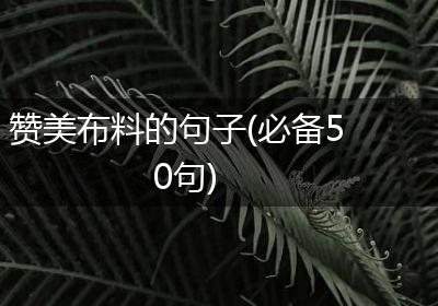 赞美布料的句子(必备50句)