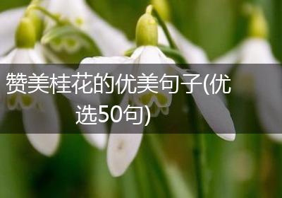 赞美桂花的优美句子(优选50句)