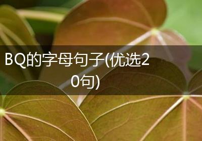 BQ的字母句子(优选20句)